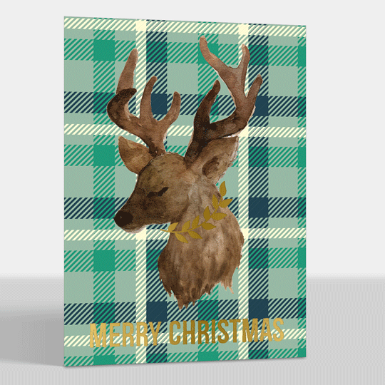 Green Plaid Deer Foil Folded Holiday Cards